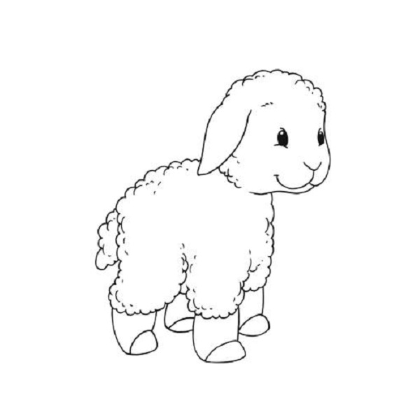 نقاشی کودکانه گوسفند برای رنگ آمیزی