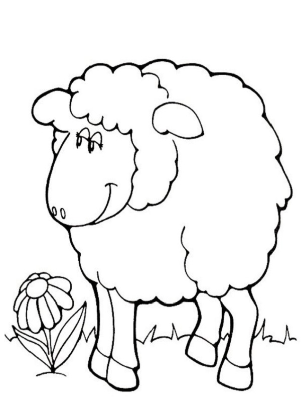 نقاشی گوسفند مهربون برای رنگ آمیزی