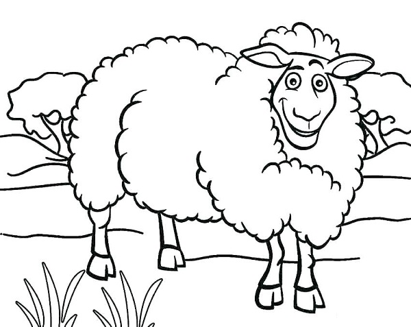 نقاشی گوسفند مهربون برای کودکان