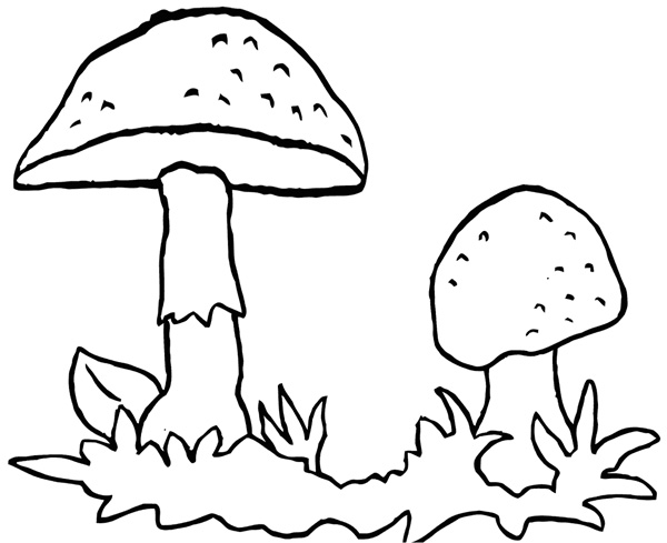  نقاشی قارچ برای کودکان برای رنگ‌آمیزی