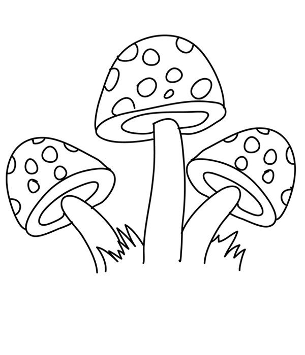 نقاشی قارچ‌ها برای کودکان برای رنگ‌آمیزی