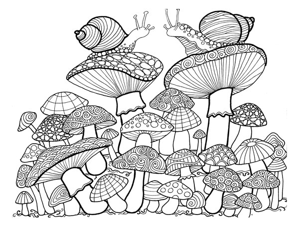 انواع نقاشی پر جزئیات قارچ برای کودکان برای رنگ‌آمیزی
