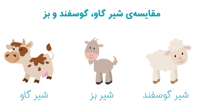 تفاوت شیر گاو، شیر گوسفند و شیر بز از نظر خواص و طعم