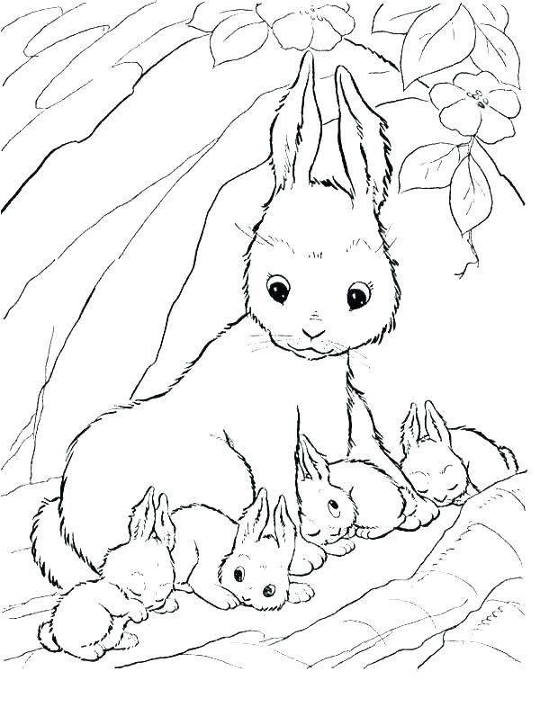 نقاشی خرگوش بازیگوش برای کودکان