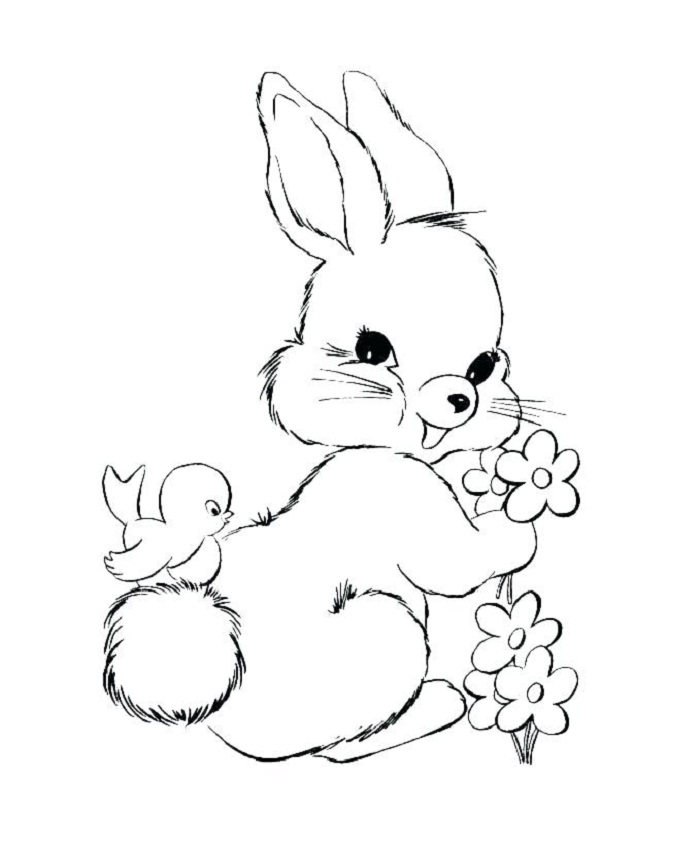 نقاشی خرگوش بامزه برای رنگ‌آمیزی