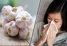 روش های استفاده از سیر برای درمان سرماخوردگی