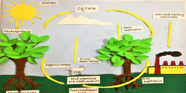چرخه دی اکسید کربن برای ساخت کاردستی برای مدرسه