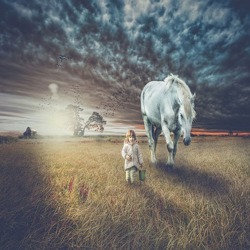 عکس رویایی از اسب سفید