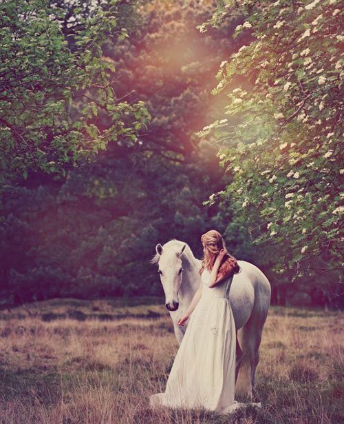 زیباترین عکس اسب سفید