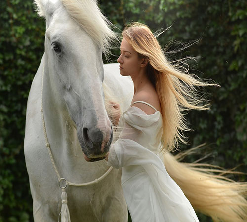 عکس اسب سفید و دختر
