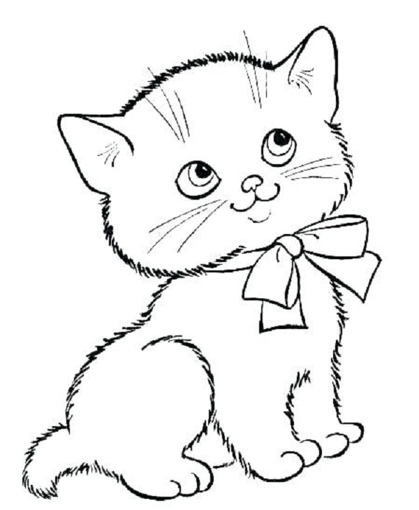 نقاشی گربه برای کودکان ، عکس گربه بامزه 