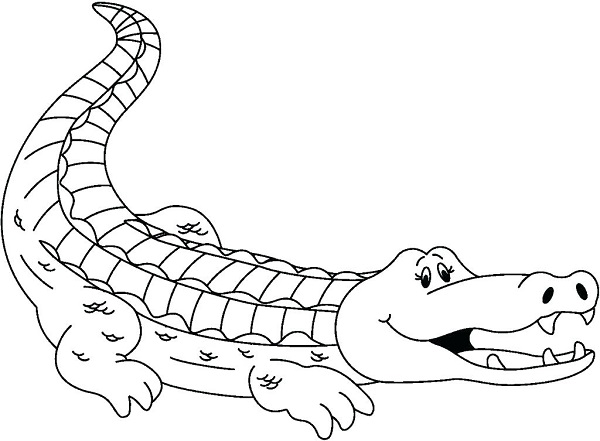 نقاشی تمساح برای کودکان