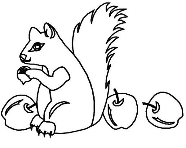 نقاشی سیب خوردن سنجاب