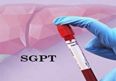 تست SGPT یا ALT در آزمایش خون و بررسی اختلالات کبدی