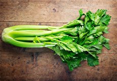 آیا خوردن کرفس در بارداری مضر است؟