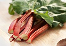 خواص ریوند چینی و طریقه مصرف آن