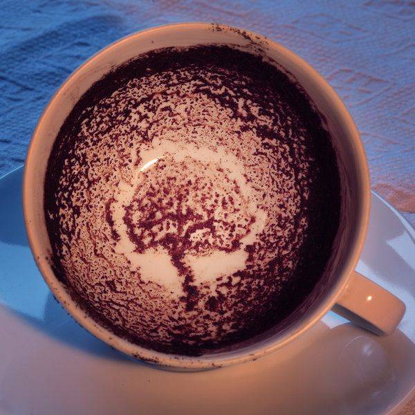 تمساح در فال قهوه