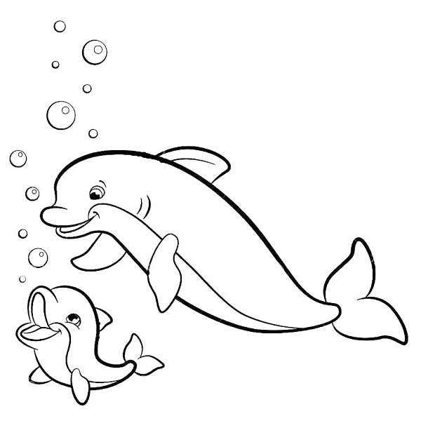 رنگ آمیزی بچه دلفین و مادر