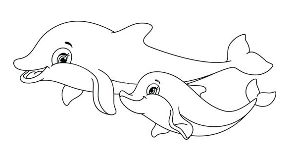 نقاشی بچه دلفین و مادرش برای کودکان