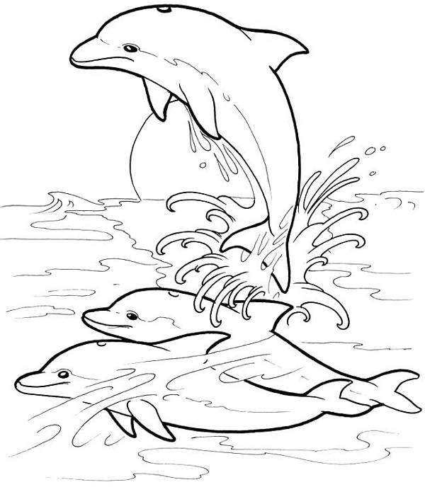 نقاشی دلفین برای رنگ آمیزی