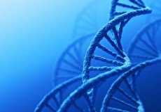 آشنایی با روش پی جی دی (PGD) برای تشخیص مشکلات ژنتیکی جنین
