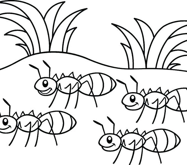 نقاشی مورچه برای رنگ آمیزی