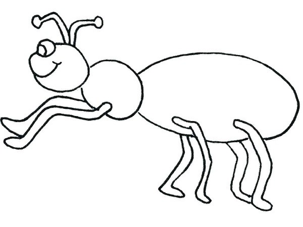 نقاشی مورچه برای رنگ آمیزی کودکان