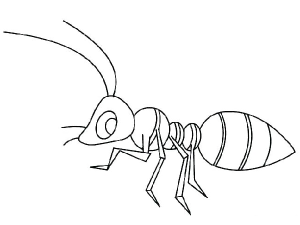 نقاشی کودکانه مورچه