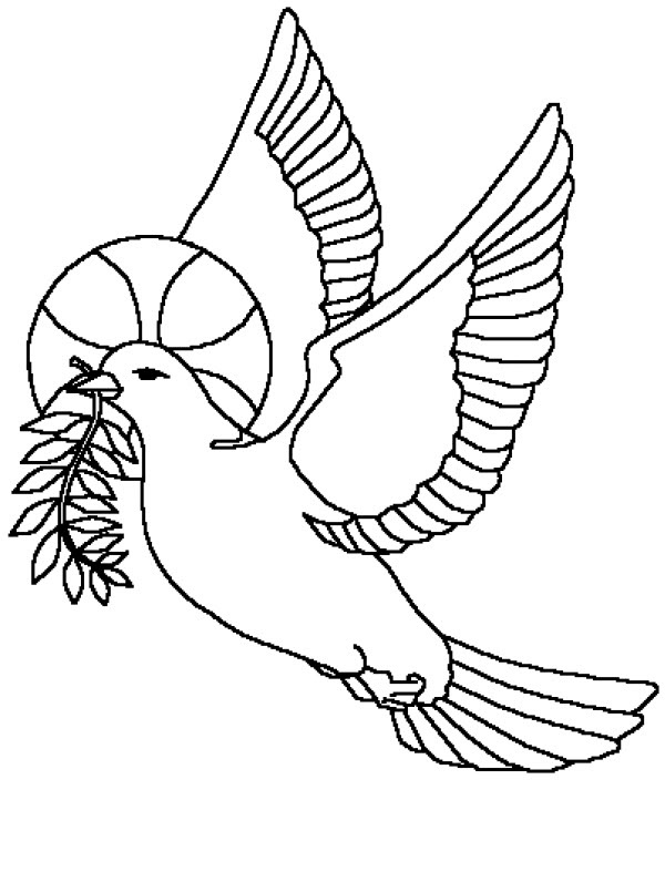نقاشی کبوتر برای رنگ آمیزی