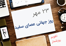 23 مهر؛ روز جهانی عصای سفید