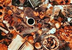 ۱۵ پیشنهاد و ایده برای دکوراسیون منزل در فصل پاییز