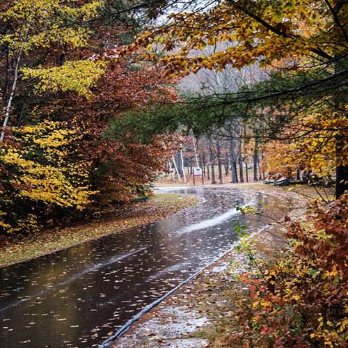 عکس پروفایل جاده پاییزی در هوای بارانی