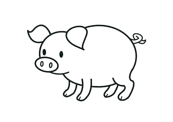 نقاشی خوک برای رنگ آمیزی