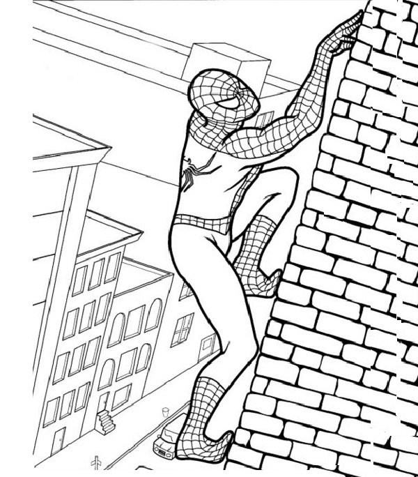 نقاشی بالا رفتن مرد عنکبوتی از دیوار