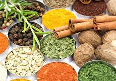 معرفی انواع غذا برای طبع سرد (غذاهای بسیار مقوی و لذیذ)