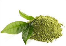 خواص سدر برای پوست، مو و بدن + روشهای مصرف آن