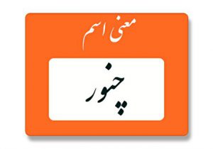 معنی اسم چنور