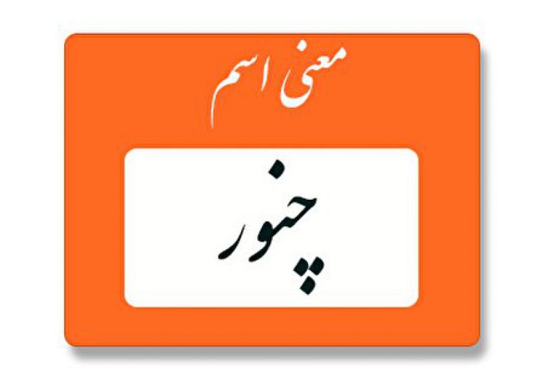 معنی اسم چنور