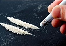 ماده مخدر سورچه یا سورچی چیست و چه عوارضی دارد؟
