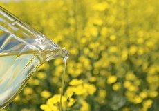 کالری روغن کانولا؛ ۱۰۰ گرم روغن کانولا چقدر کالری دارد؟