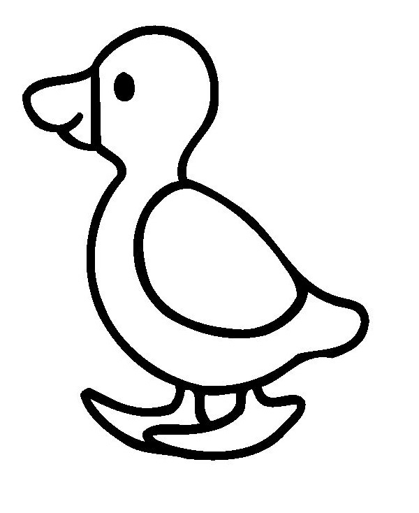 نقاشی اردک برای رنگ آمیزی