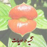 تشبیه چیست