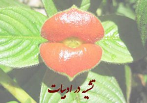 تشبیه چیست