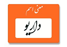 معنی اسم داریو چیست؟ (ریشه، فراوانی و اسم های مشابه داریو)
