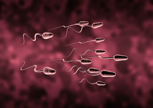 حساسیت زن به اسپرم