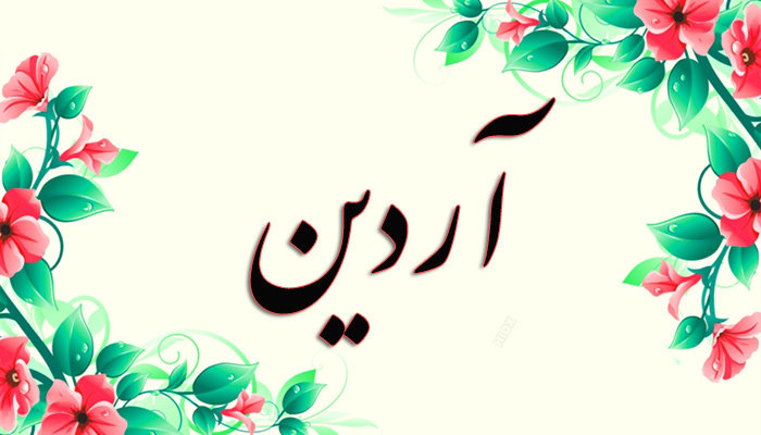  اسم آردين 