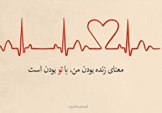 زیباترین مجموعه عکس نوشته اشعار فریدون مشیری