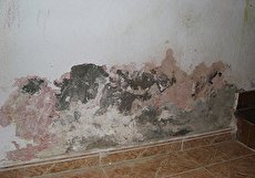 رفع نم و رطوبت دیوار با ۵ راهکار موثر