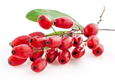 خواص زرشک، ارزش غذایی و آنچه باید هنگام مصرف آن بدانید