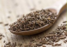 خواص زیره سیاه و دانستنیهای مهم درباره مصرف آن